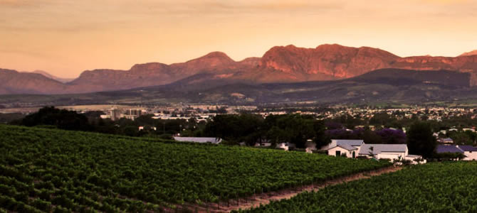 Le Joubert / WINES
